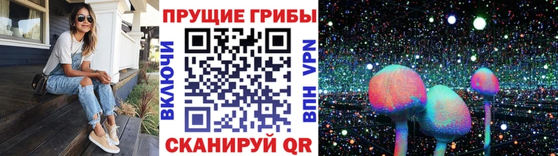 hydra как зайти Приволжский Псилоцибиновые грибы мухоморы цена наркотик